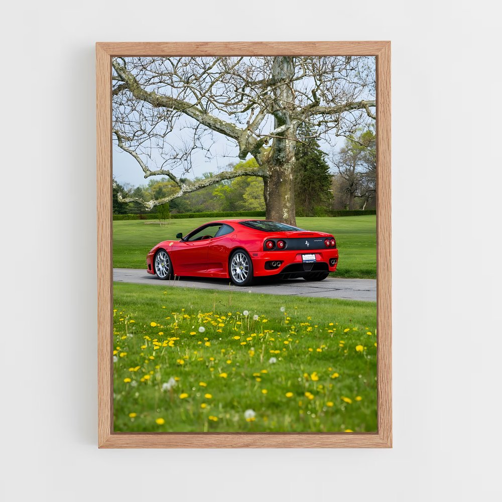 Poster Ferrari au Parc (vue 4)